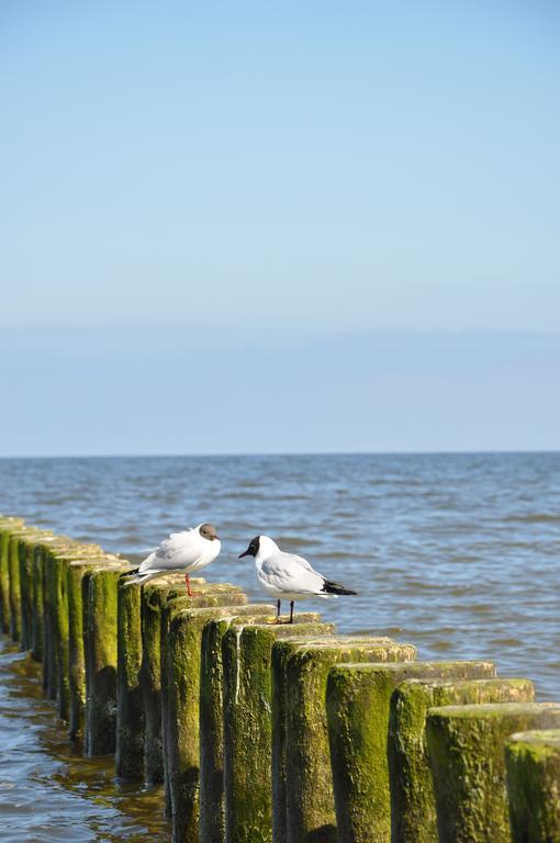 Seetelhotel Nautic Usedom Hotel & Spa 科瑟罗 外观 照片